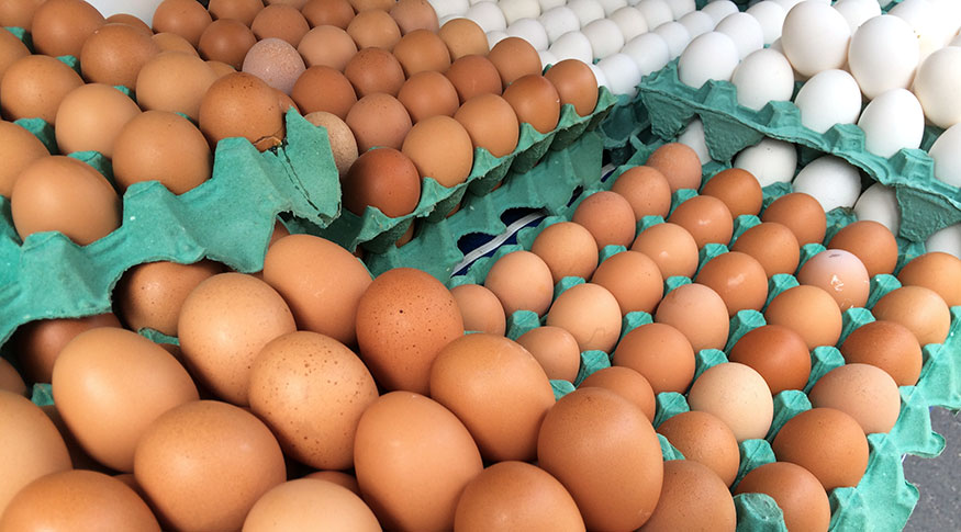 #PraCegoVer foto de ovos