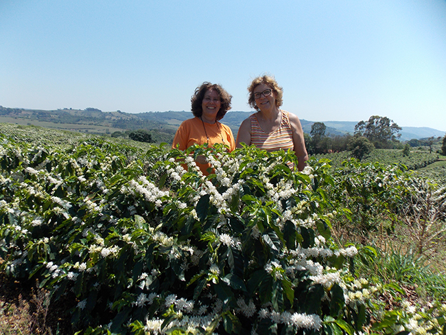 #PraCegoVer Leila e Margarida administram juntas propriedade cafeicultora - Crédito Arquivo pessoal Leila e Margarida