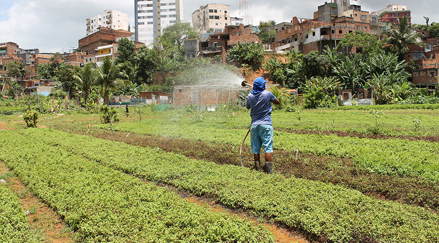 #PraCegoVer A foto mostra um agricultor irrigando sua horta.