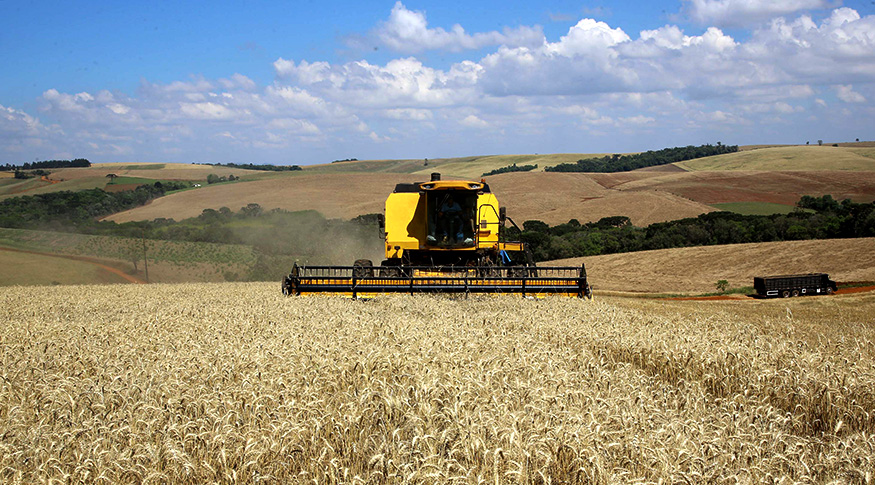 Brasil deve alcançar recorde na safra de grãos 2021/22 com mais de 271  milhões de toneladas - Revista Cultivar