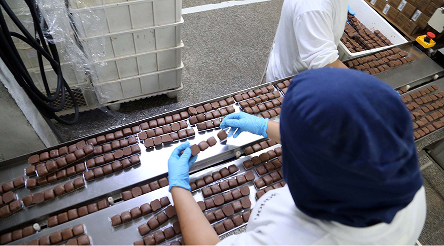 #PraCegoVer A foto mostra uma vista superior de uma linha de produção de bombons de chocolate. Do lado direito, aparece uma funcionária com gorro azul e luvas azuis.
