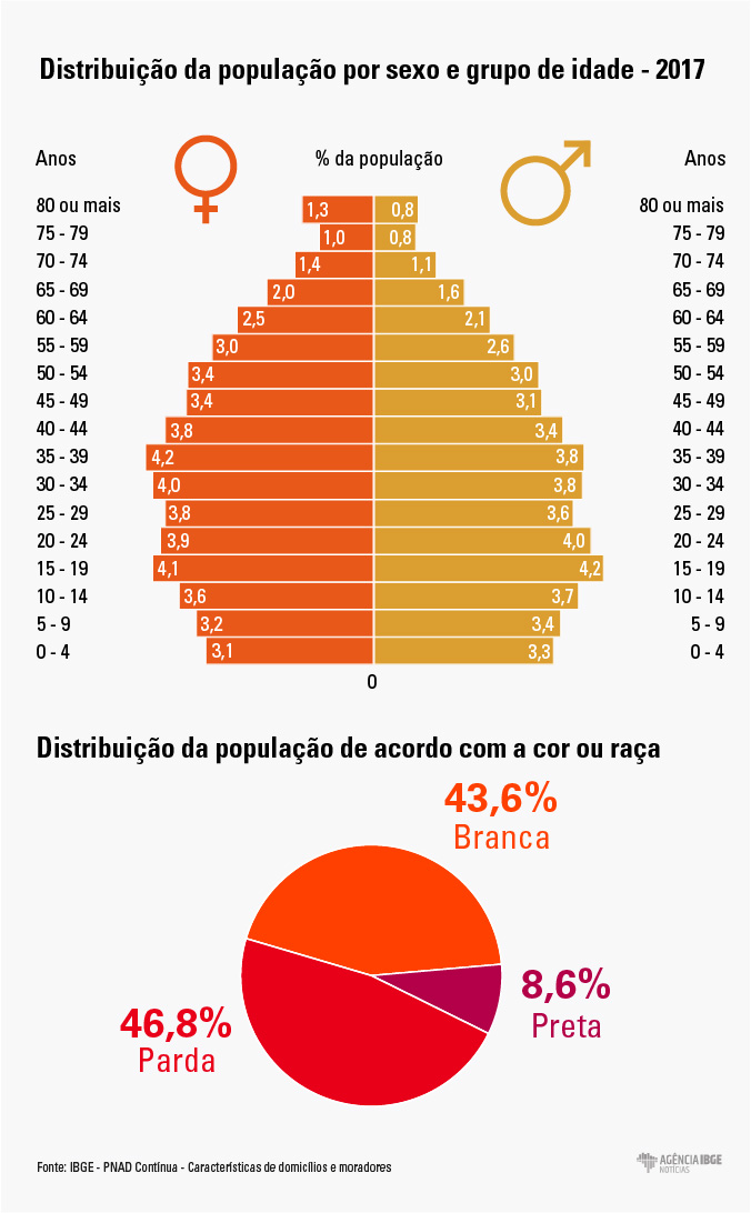 #praCegoVer Infográfico da distribuição da população por sexo, grupo de idade, cor ou raça
