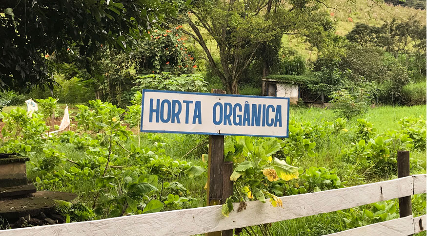 #PraCegoVer imagem de horta orgânica com placa