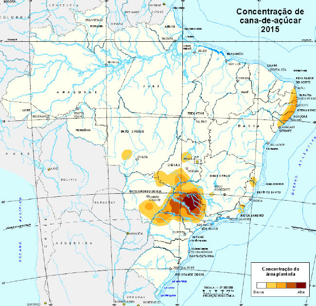#PraCegoVer mapa do brasil que indica concentração de plantação de cana-de-açúcar no interior de São Paulo, Minas Gerais, Goiás, Santa Catarina, Mato Grosso do Sul e litoral da Paraíba, Pernambuco e Alagoas