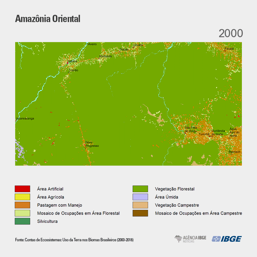 desmatamento na Amazônia