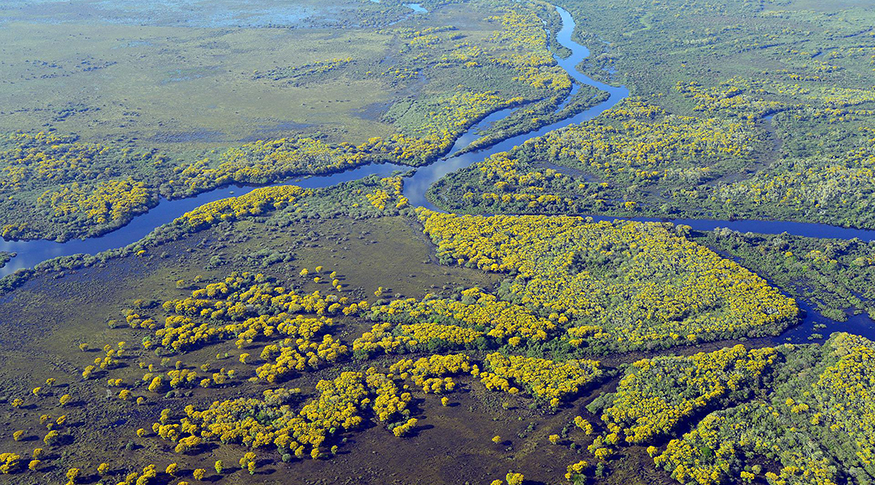 #pracegover a foto mostra uma vista superior do Pantanal.