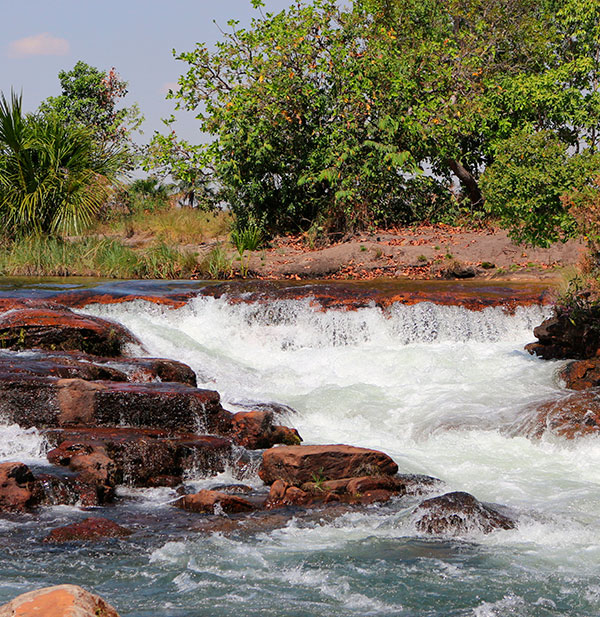 #PraCegoVer Imagem de cachoeira e mata 