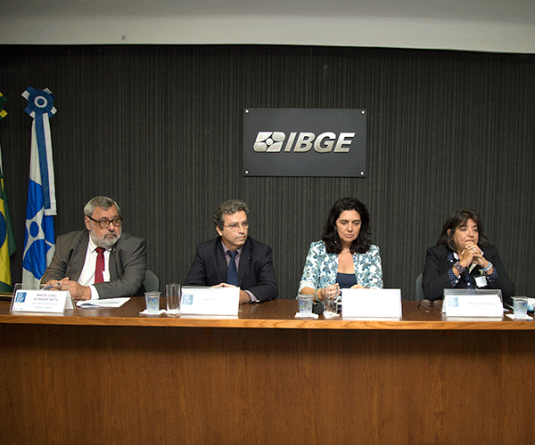 #praCegoVer Participantes do workshop realizado no IBGE