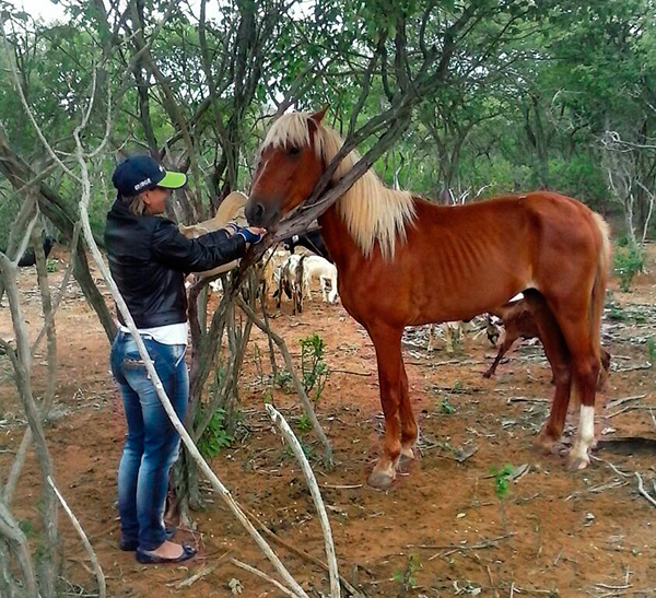 #praCegoVer Para a recenseadora Ana Lúcia Costa, de Ourolândia (BA), o Censo Agro está sendo uma escola