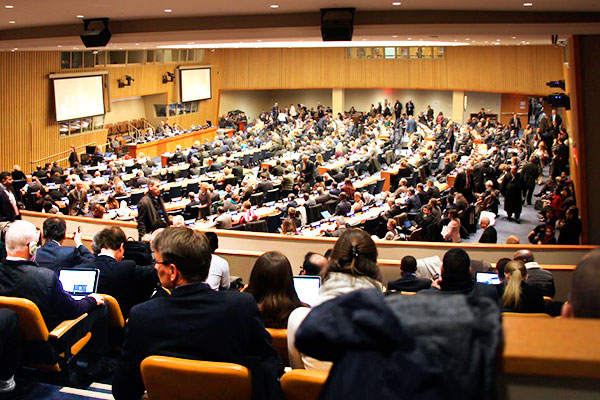 #praCegoVer Plenária da 49ª sessão da Comissão Estatística das Nações Unidas