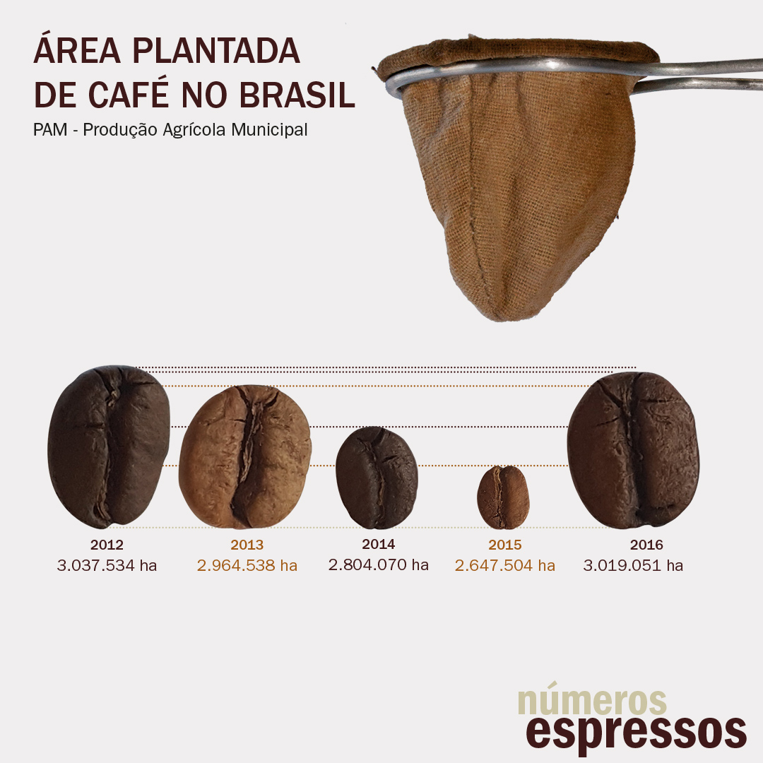 #pracegover grãos de café em proporção de altura à área total da plantação de café no brasil dividida por ano