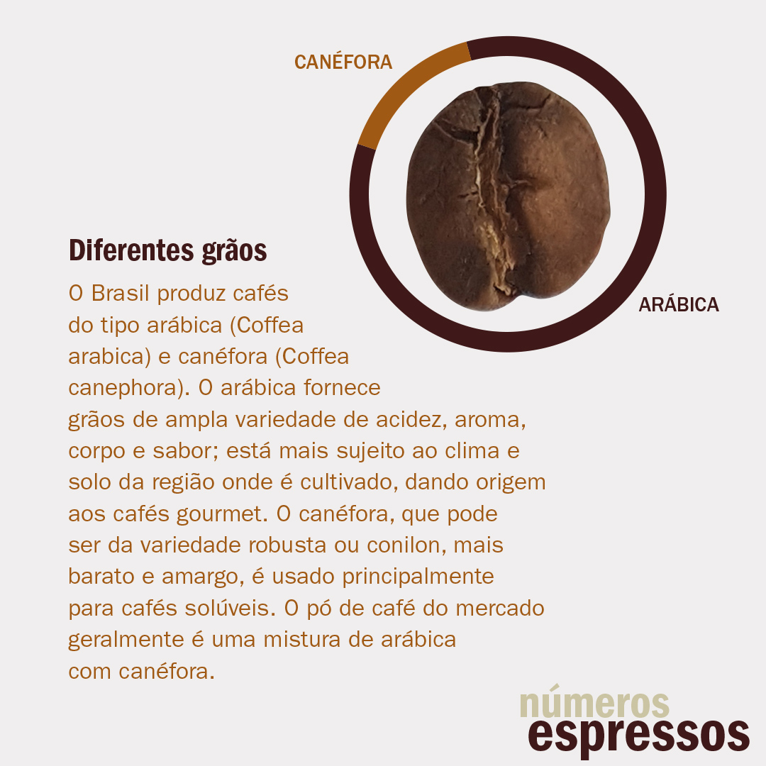 #pracegover grão de café e gráfico de rosca com as duas variedades plantadas no brasil